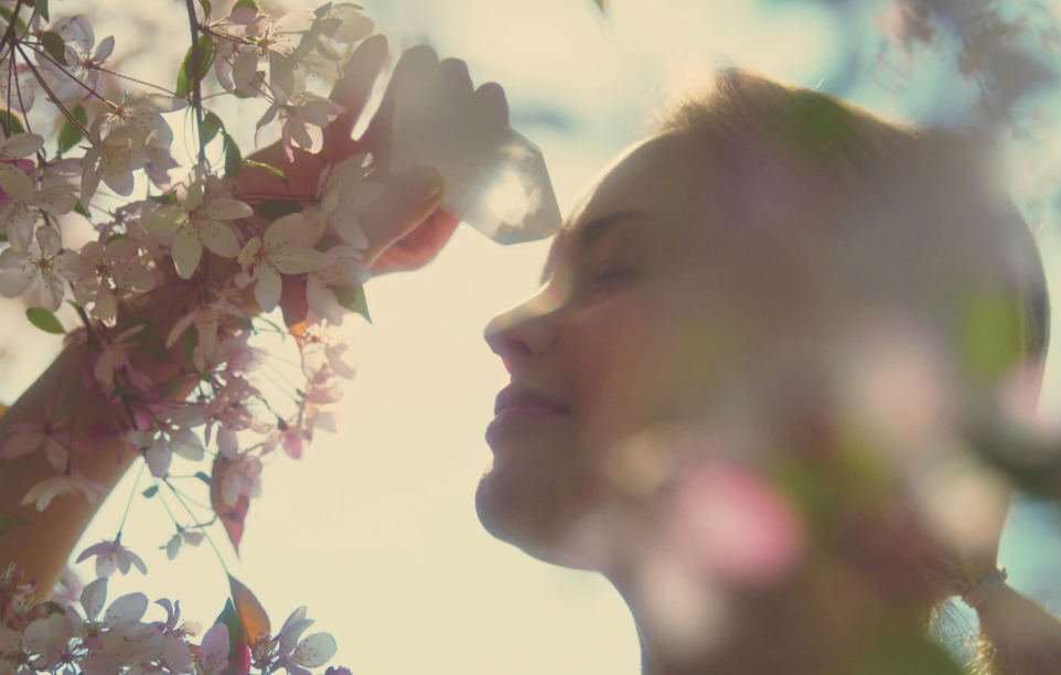 A woman basking in soft sunlight, holding up a clear crystal to her forehead, surrounded by apple blossoms