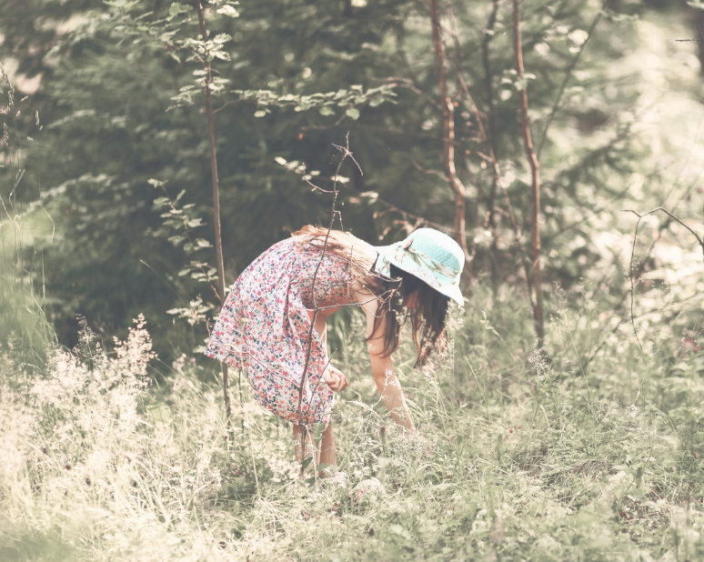 girl walking in the nordic woods picking berries, with a golden light shimmering on her through the trees. Depicting childhood connection to the earth and the divine 