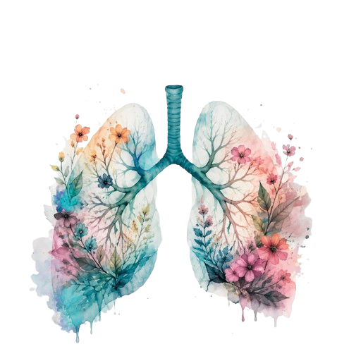watercolour image of vibrant lungs surrounded by flowers depicting the healing affects of breathwork